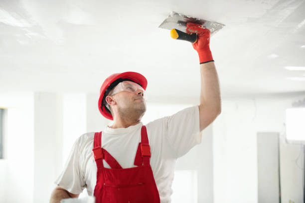  New Beaver, PA Drywall & Painting Services Pros